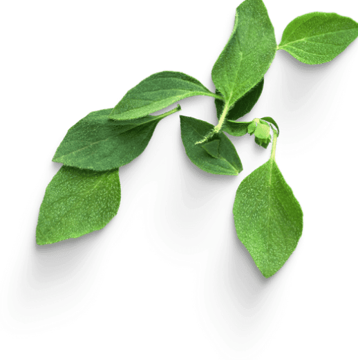 Dra. Paola Sánchez | Especialista en el Método 4 Pro