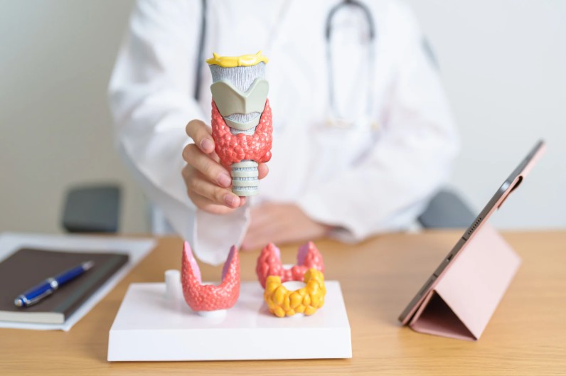 Cómo bajar de peso si tengo hipotiroidismo - Medicina - Dra. Paola Sánchez